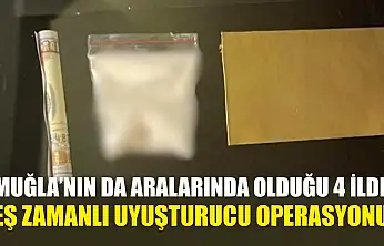 Muğla'nın da Aralarında Olduğu 4 İlde Eş Zamanlı Uyuşturucu Operasyonu