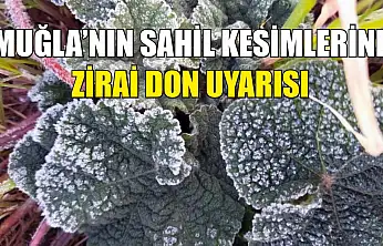 Muğla'nın sahil kesimlerine zirai don uyarısı