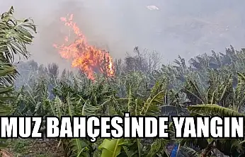 Muz bahçesinde yangın