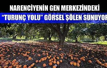 Narenciyenin gen merkezindeki 'Turunç Yolu' görsel şölen sunuyor