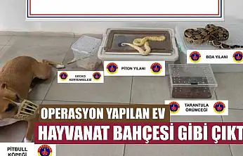 Operasyon yapılan ev hayvanat bahçesi gibi çıktı