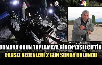 Ormana odun toplamaya giden yaşlı çiftin cansız bedenleri 2 gün sonra bulundu