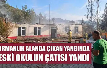 Ormanlık alanda çıkan yangında eski okulun çatısı yandı