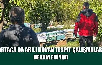 Ortaca'da Arılı Kovan Tespit Çalışmaları Devam Ediyor