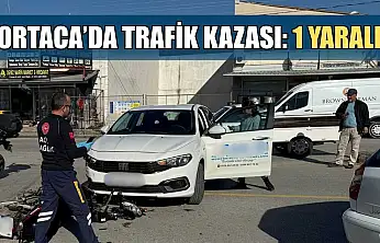 Ortaca'da trafik kazası: 1 yaralı