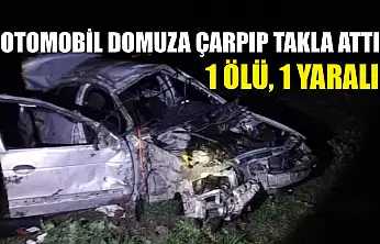Otomobil domuza çarpıp takla attı: 1 ölü, 1 yaralı