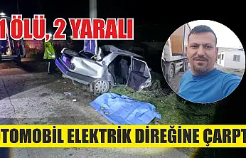 Otomobil elektrik direğine çarptı: 1 ölü, 2 yaralı