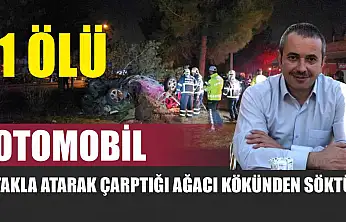 Otomobil, takla atarak çarptığı ağacı kökünden söktü: 1 ölü