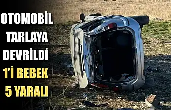Otomobil tarlaya devrildi: 1'i bebek 5 yaralı