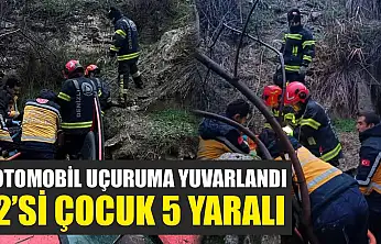 Otomobil uçuruma yuvarlandı: 2'si çocuk 5 yaralı