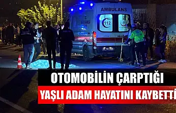 Otomobilin çarptığı yaşlı adam hayatını kaybetti