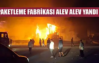 Paketleme fabrikası alev alev yandı