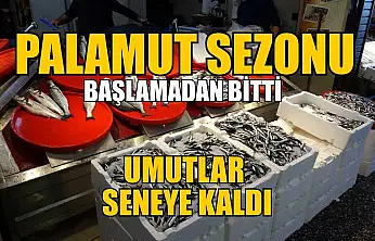 Palamut sezonu başlamadan bitti, umutlar seneye kaldı