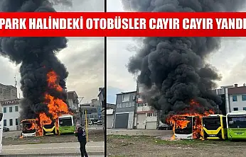 Park halindeki otobüsler cayır cayır yandı