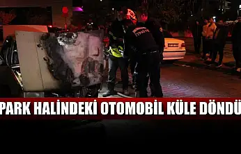 Park halindeki otomobil küle döndü