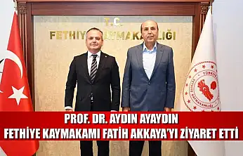 Prof. Dr. Aydın Ayaydın, Fethiye Kaymakamı Fatih Akkaya'yı Ziyaret Etti