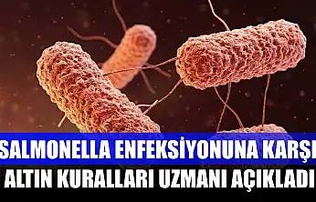 Salmonella enfeksiyonuna karşı altın kuralları uzmanı açıkladı