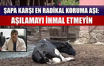 Şapa karşı en radikal koruma aşı: Aşılamayı ihmal etmeyin