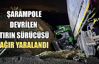 Şarampole devrilen tırın sürücüsü ağır yaralandı