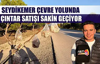 Seydikemer Çevre Yolunda Çıntar Satışı Sakin Geçiyor