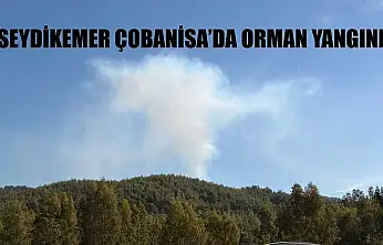Seydikemer Çobanisa'da Orman Yangını