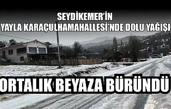 Seydikemer'in Yayla Karaçulha Mahallesi'nde dolu yağışı: Ortalık beyaza büründü