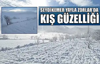 Seydikemer Yayla Zorlar'da kış güzelliği