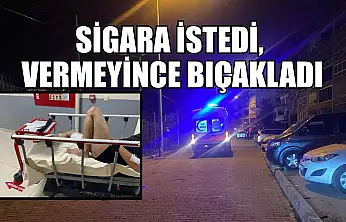 Sigara istedi, vermeyince bıçakladı