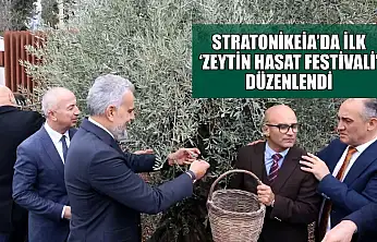 Stratonikeia'da ilk 'Zeytin Hasat Festivali' düzenlendi