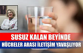 Susuz kalan beyinde hücreler arası iletişim yavaşlıyor