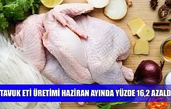 Tavuk eti üretimi Haziran ayında yüzde 16,2 azaldı