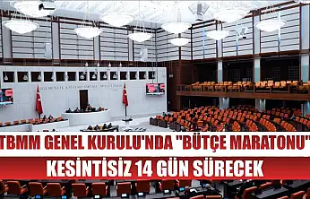 TBMM Genel Kurulu'nda 'bütçe maratonu' kesintisiz 14 gün sürecek