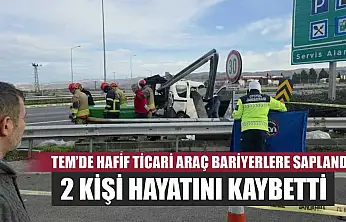 TEM'de hafif ticari araç bariyerlere saplandı, 2 kişi hayatını kaybetti