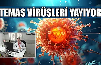 Temas virüsleri yayıyor
