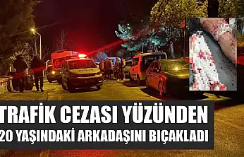 Trafik cezası yüzünden 20 yaşındaki arkadaşını bıçakladı