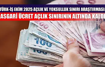 Türk-İş Ekim 2025 Açlık ve Yoksulluk Sınırı Araştırması: Asgari Ücret Açlık Sınırının Altında Kaldı