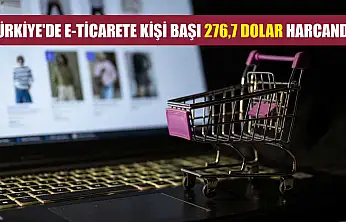 Türkiye'de e-ticarete kişi başı 276,7 dolar harcandı