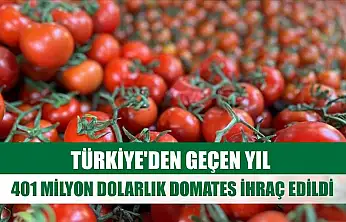 Türkiye'den geçen yıl 401 milyon dolarlık domates ihraç edildi