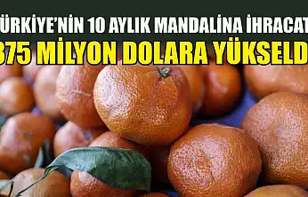 Türkiye'nin 10 aylık mandalina ihracatı 375 milyon dolara yükseldi