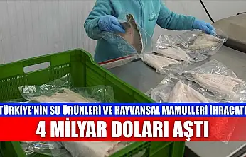 Türkiye'nin su ürünleri ve hayvansal mamulleri ihracatı 4 milyar doları aştı