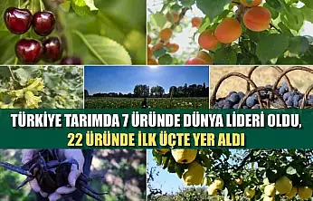 Türkiye tarımda 7 üründe dünya lideri oldu, 22 üründe ilk üçte yer aldı