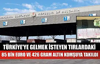 Türkiye'ye gelmek isteyen tırlardaki 85 bin euro ve 426 gram altın komşuya takıldı