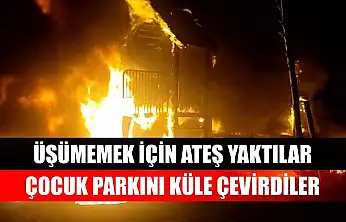 Üşümemek için ateş yaktılar, çocuk parkını küle çevirdiler