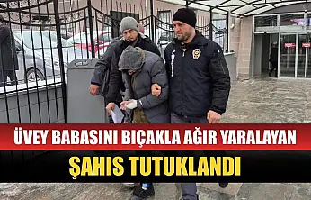 Üvey babasını bıçakla ağır yaralayan şahıs tutuklandı