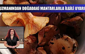 Uzmanından doğadaki mantarlarla ilgili uyarı