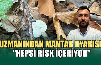 Uzmanından mantar uyarısı: 'Hepsi risk içeriyor'