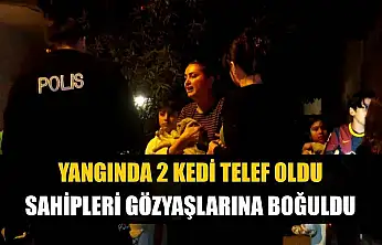 Yangında 2 kedi telef oldu, sahipleri gözyaşlarına boğuldu
