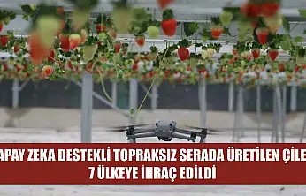 Yapay zeka destekli topraksız serada üretilen çilek 7 ülkeye ihraç edildi
