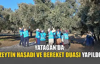 Yatağan'da zeytin hasadı ve bereket duası yapıldı