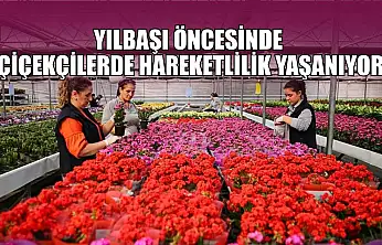 Yılbaşı öncesinde çiçekçilerde hareketlilik yaşanıyor